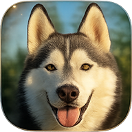 SambuDog